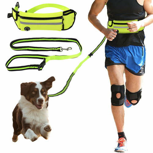 Cinturón Manos Libres con Correa Reflectante para Perro – Impermeable, Ajustable