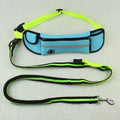 Cinturón Manos Libres con Correa Reflectante para Perro – Impermeable, Ajustable