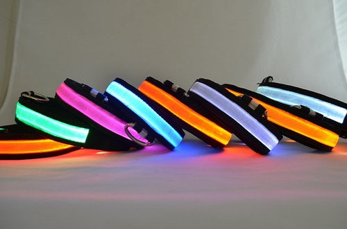 Collar LED para Perro – Recargable, 4 Tallas, Seguridad Nocturna, 6 Colores