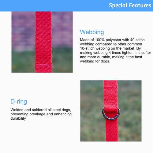 Correa Plegable para Perro Lof – Webbing Resistente, Acero Soldado, 10ft/6ft