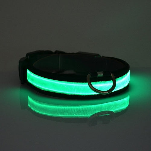 Collar LED para Perro – Recargable, 4 Tallas, Seguridad Nocturna, 6 Colores