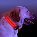 Collar LED para Perro – Recargable, 4 Tallas, Seguridad Nocturna, 6 Colores
