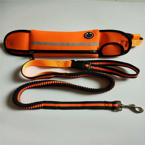 Cinturón Manos Libres con Correa Reflectante para Perro – Impermeable, Ajustable