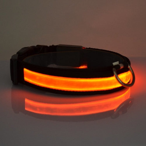 Collar LED para Perro – Recargable, 4 Tallas, Seguridad Nocturna, 6 Colores