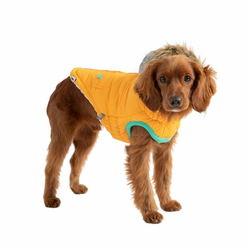 Abrigo de Invierno para Perro GF Pet Sailor Parka – Impermeable, Sherpa, Amarillo