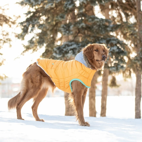 Abrigo de Invierno para Perro GF Pet Sailor Parka – Impermeable, Sherpa, Amarillo