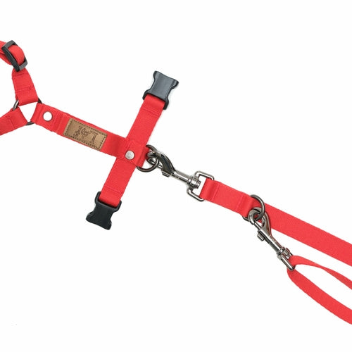 Correa Plegable para Perro Lof – Webbing Resistente, Acero Soldado, 10ft/6ft