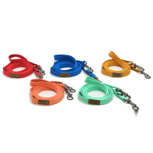 Correa Plegable para Perro Lof – Webbing Resistente, Acero Soldado, 10ft/6ft