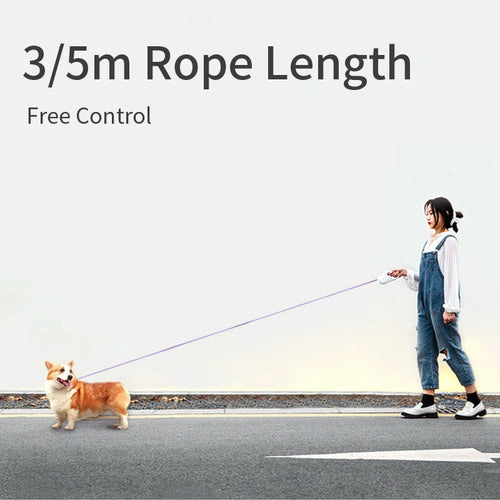 Correa Retráctil con Luz LED para Perro – 5m, RGB, Freno Automático