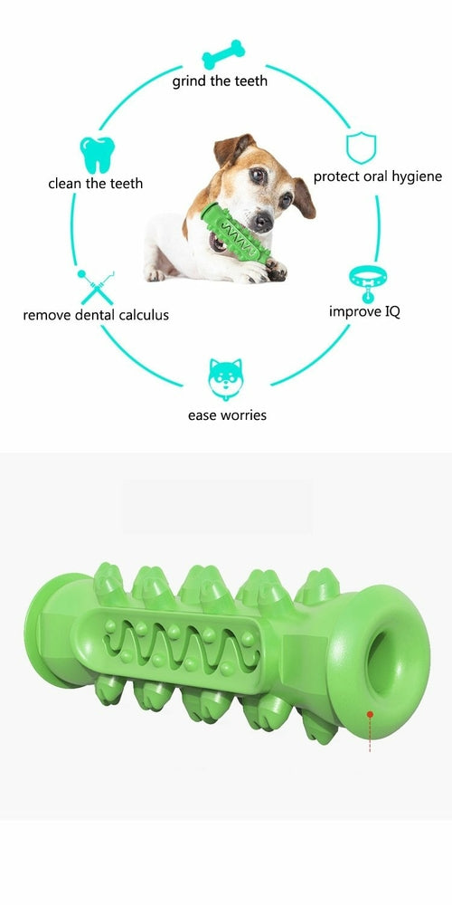 Juguete Masticable para Perros – Limpieza Dental, Goma No Tóxica, Resistente