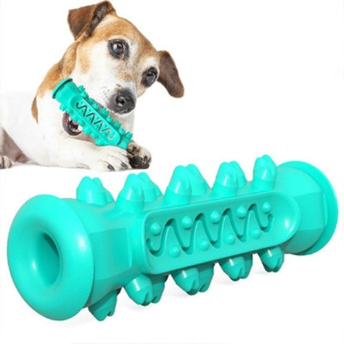 Juguete Masticable para Perros – Limpieza Dental, Goma No Tóxica, Resistente
